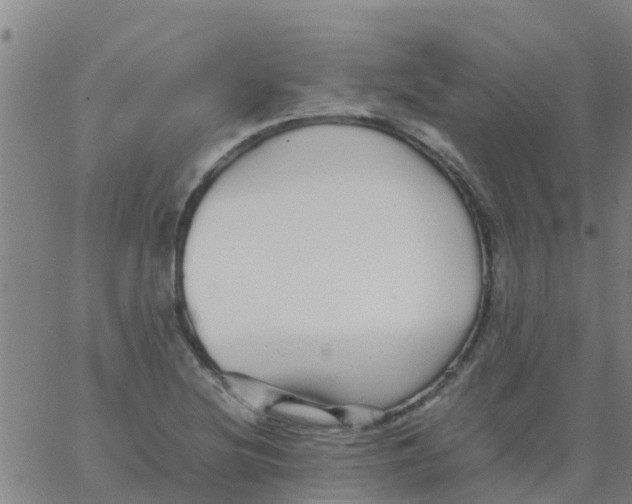 X0000066081220200603311927