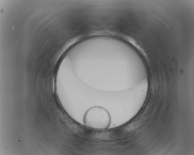 X0000066081221200603311927