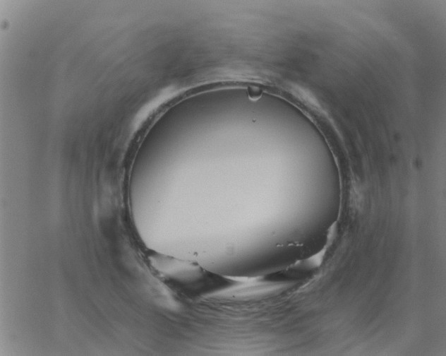 X0000066081222200603311927