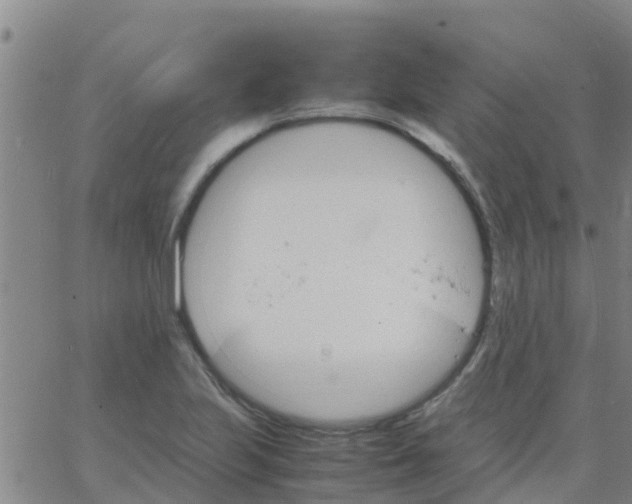 X0000066081223200603311927