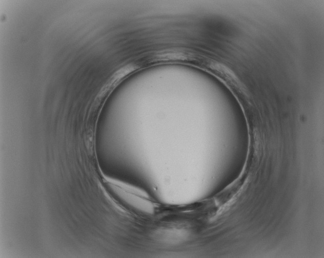 X0000066081225200603311927