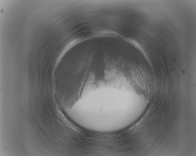 X0000066081227200603311927