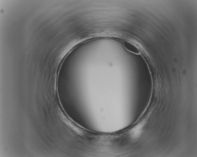 X0000066081228200603311927