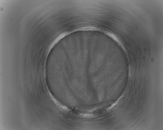 X0000066081229200603311927