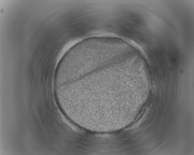 X0000066081231200603311927