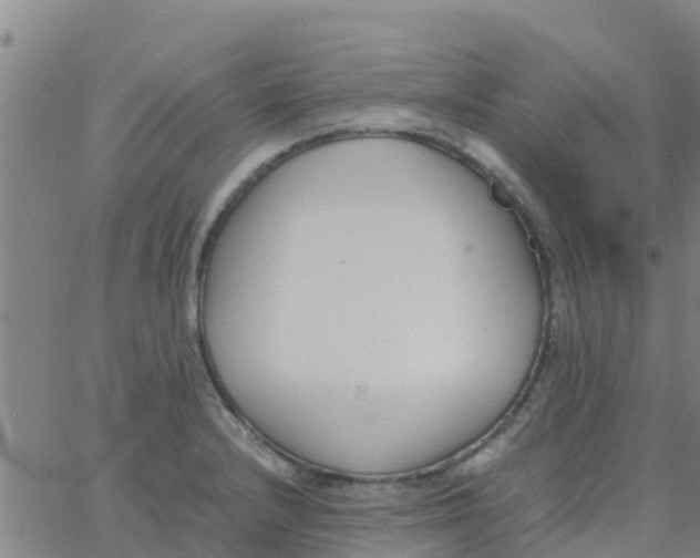 X0000066081232200603311927