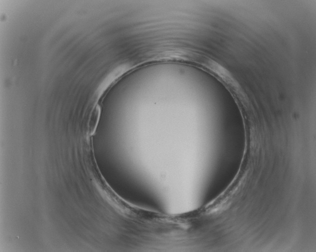 X0000066081234200603311927