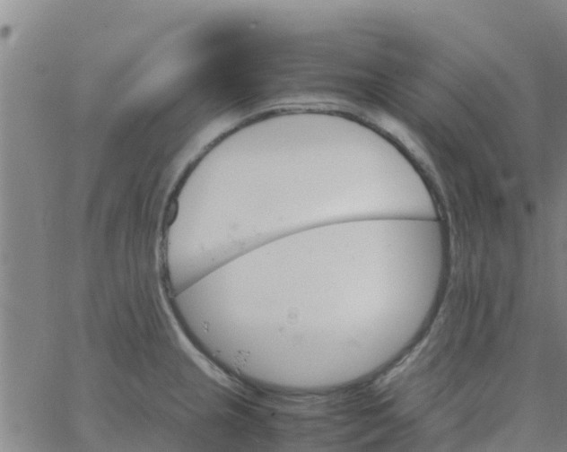 X0000066081237200603311927