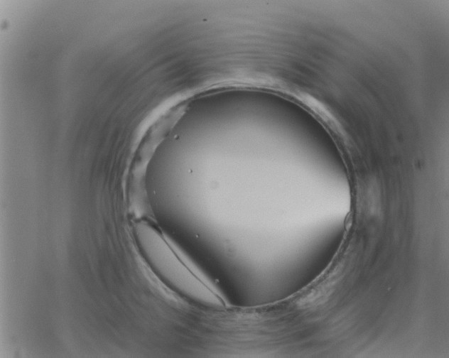 X0000066081238200603311927