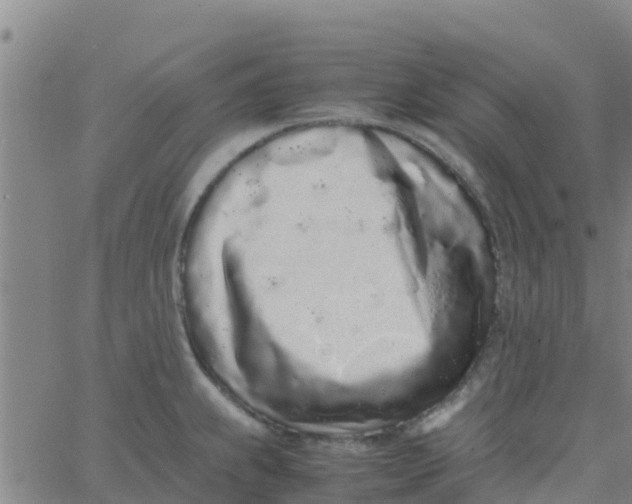 X0000066081239200603311927