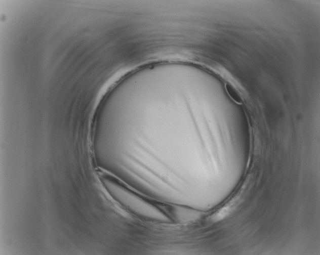 X0000066081240200603311927