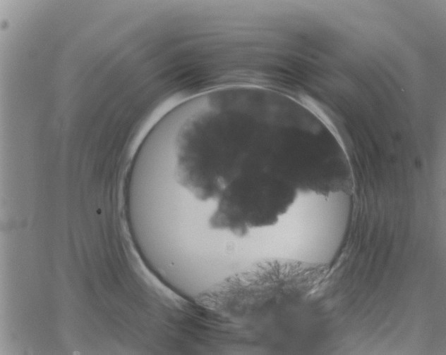 X0000066081243200603311927