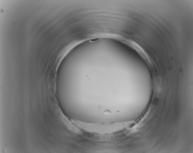 X0000066081244200603311927