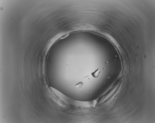 X0000066081246200603311927