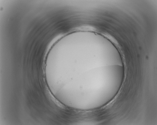 X0000066081248200603311927