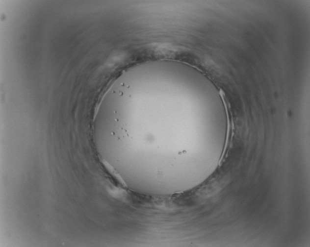 X0000066081249200603311926