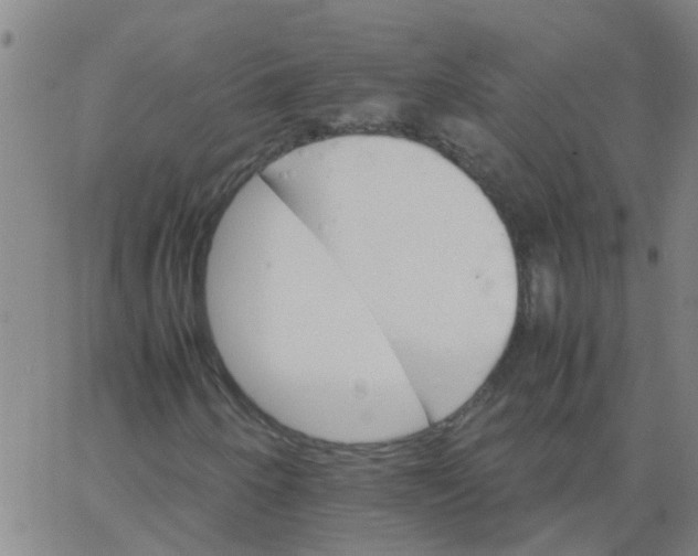 X0000066081250200603311926