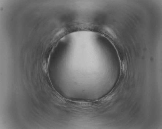 X0000066081251200603311926