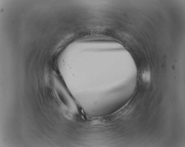 X0000066081252200603311926