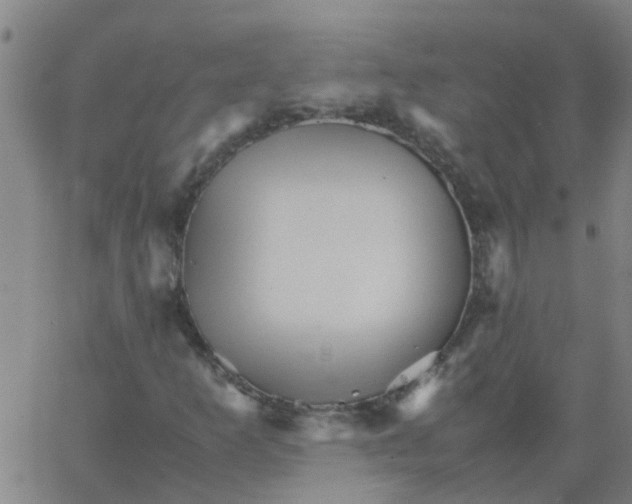 X0000066081253200603311926