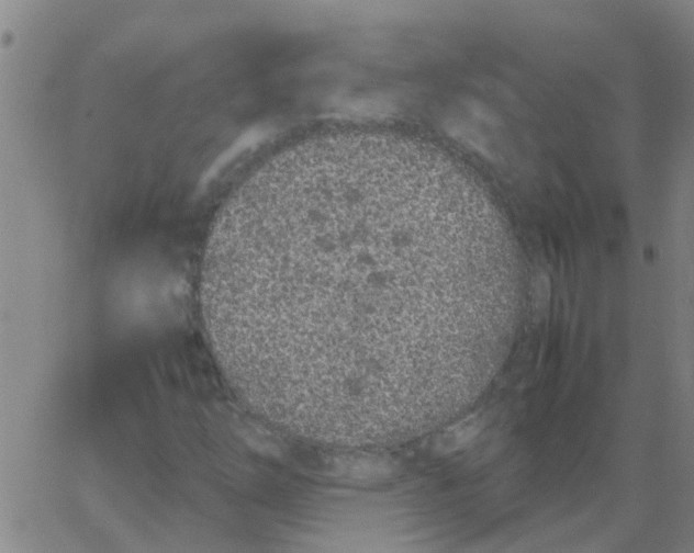 X0000066081254200603311926