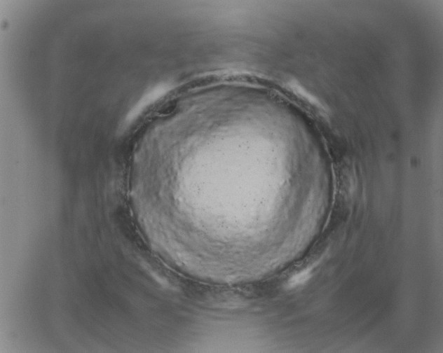 X0000066081255200603311926