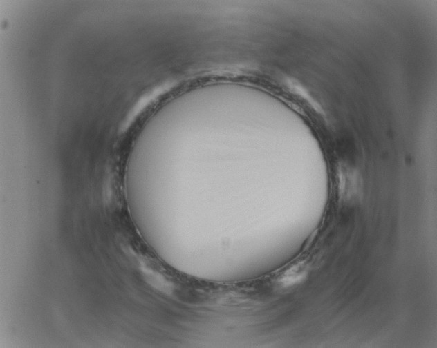 X0000066081256200603311926