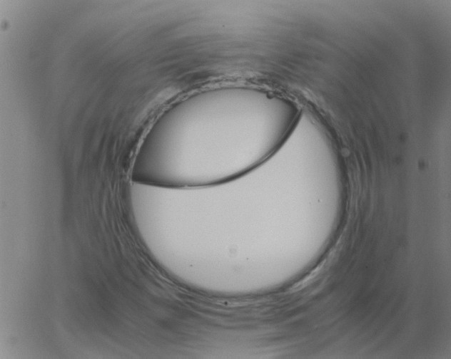 X0000066081257200603311926