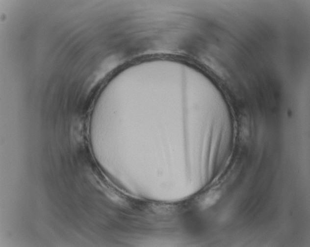 X0000066081258200603311926