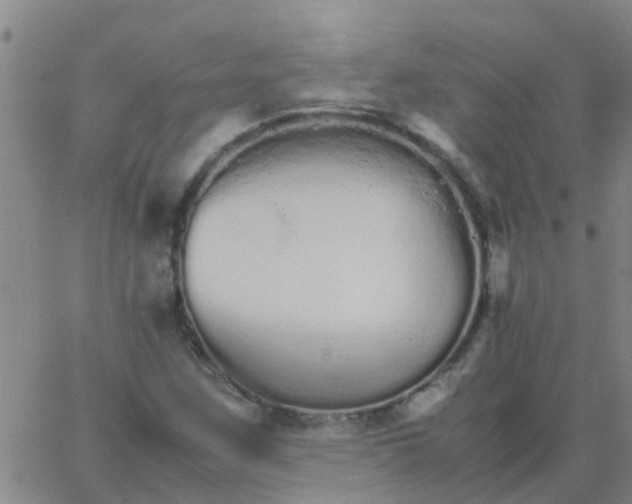 X0000066081259200603311926