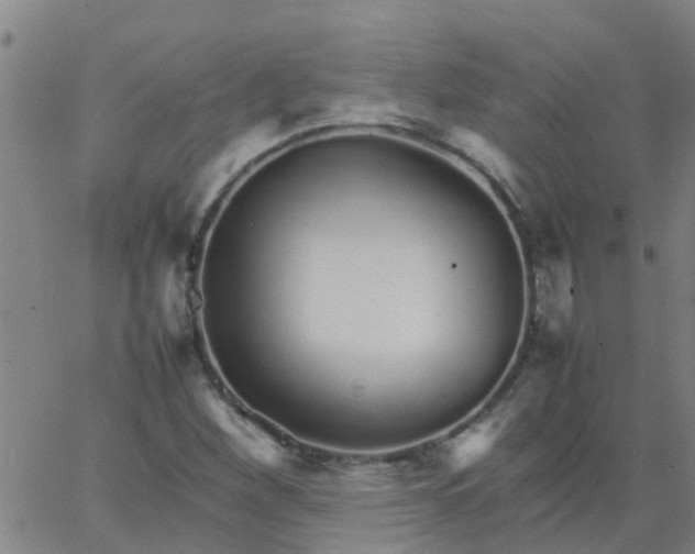 X0000066081260200603311926