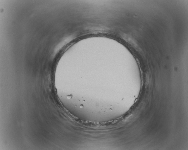 X0000066081261200603311926