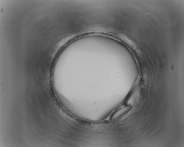 X0000066081264200603311926