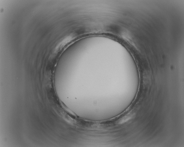 X0000066081265200603311926