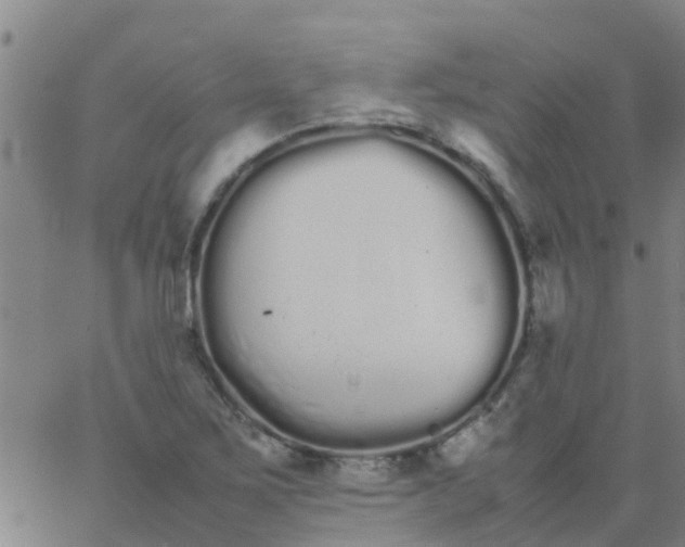 X0000066081267200603311926