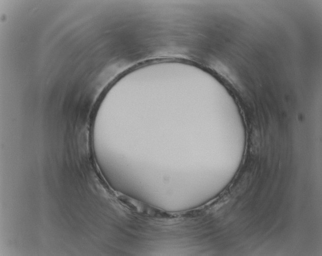 X0000066081268200603311926