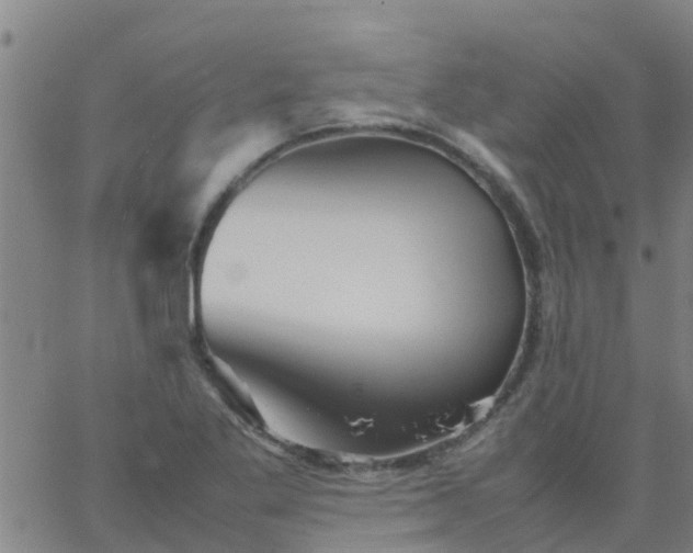 X0000066081269200603311926