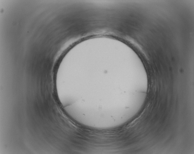 X0000066081270200603311926