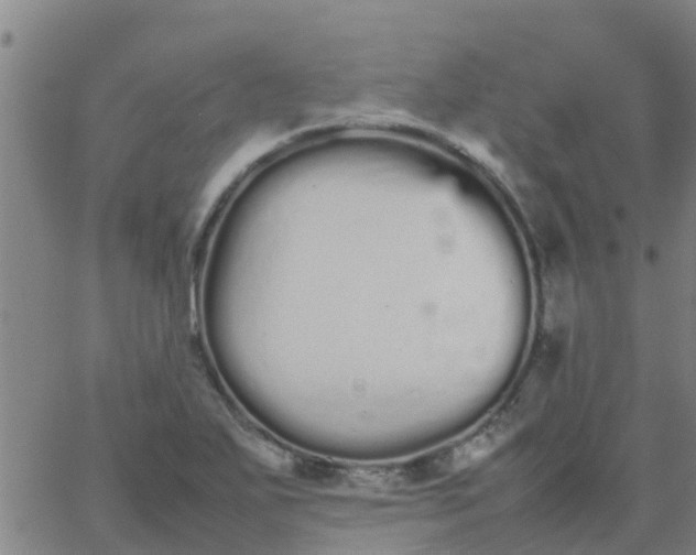 X0000066081271200603311926