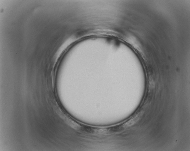 X0000066081275200603311926