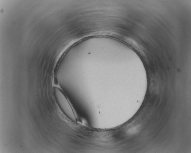 X0000066081276200603311926