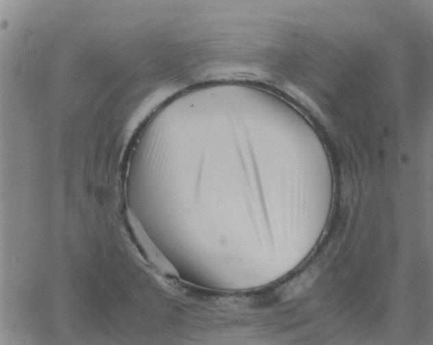 X0000066081277200603311926