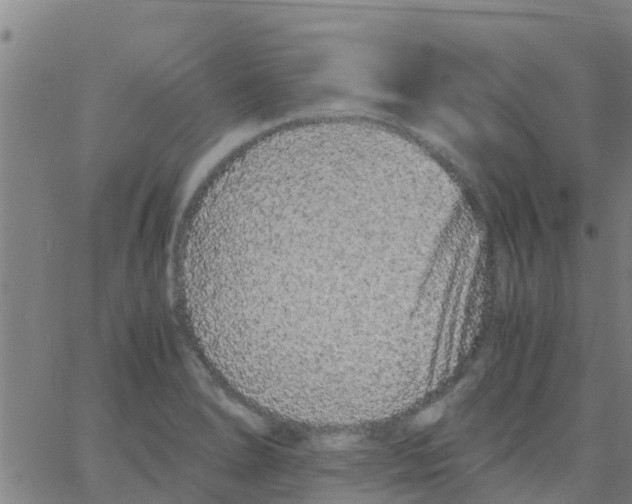 X0000066081278200603311926