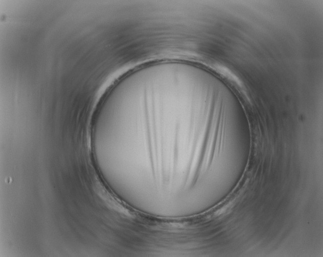 X0000066081280200603311926