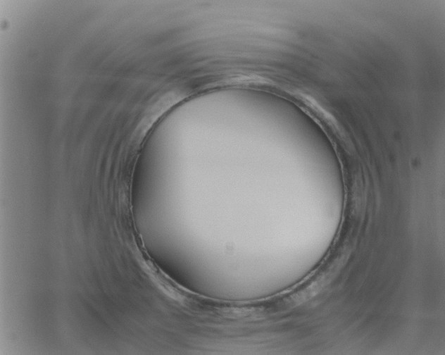 X0000066081281200603311926