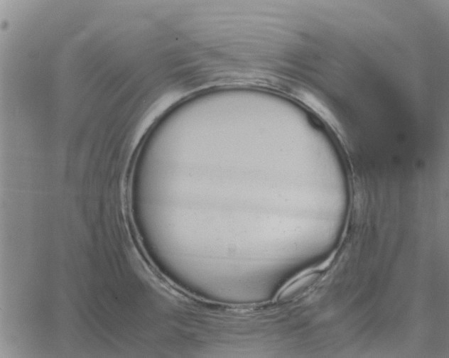 X0000066081283200603311926