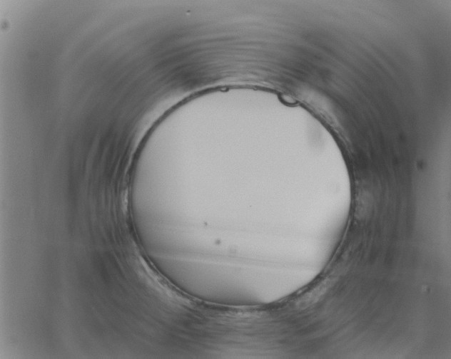 X0000066081284200603311926