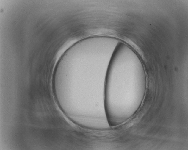 X0000066081285200603311926