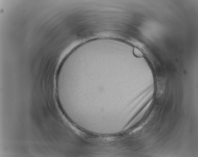 X0000066081286200603311926