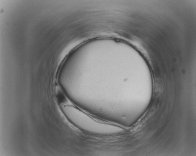 X0000066081287200603311926